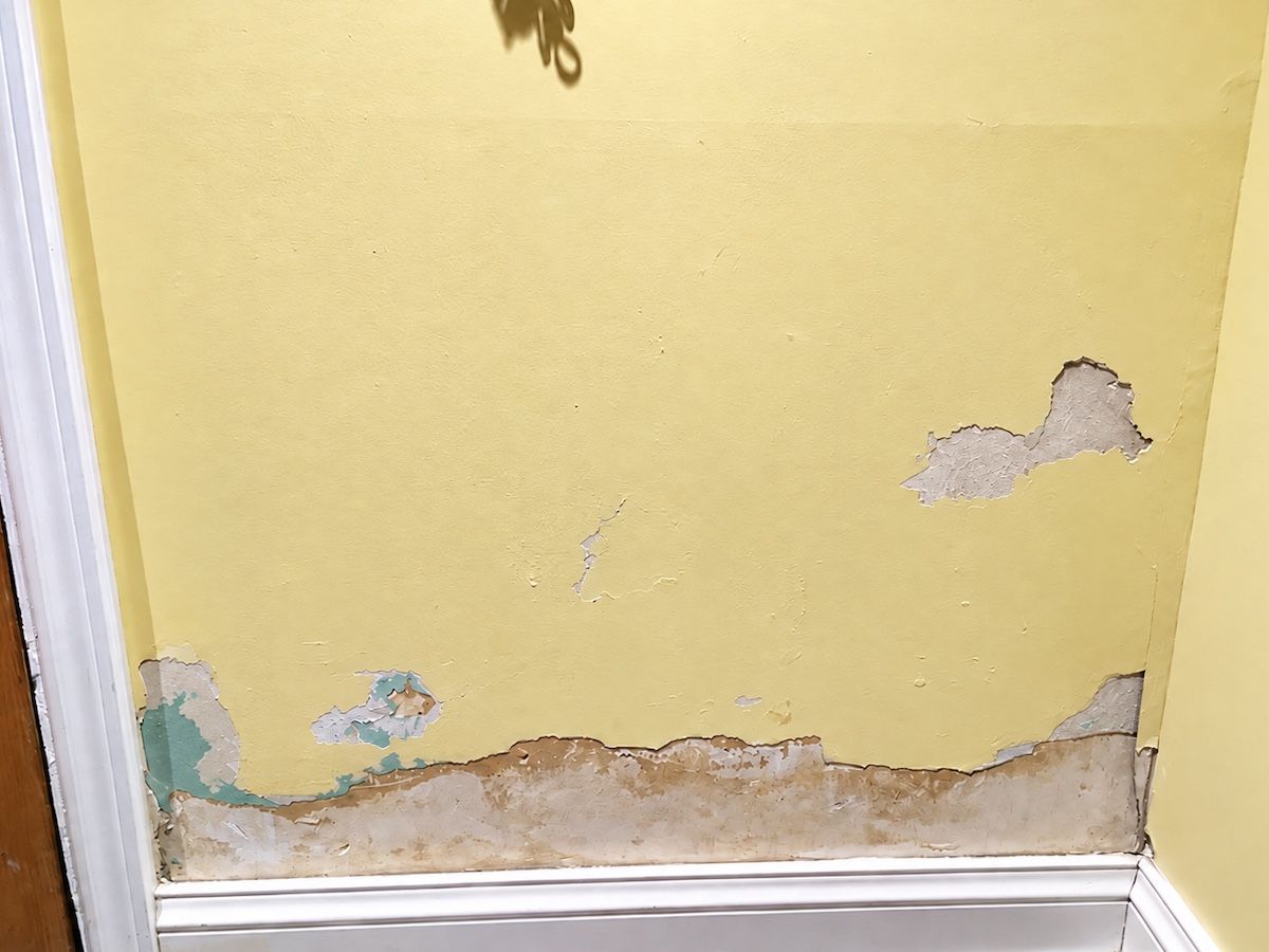 Wall