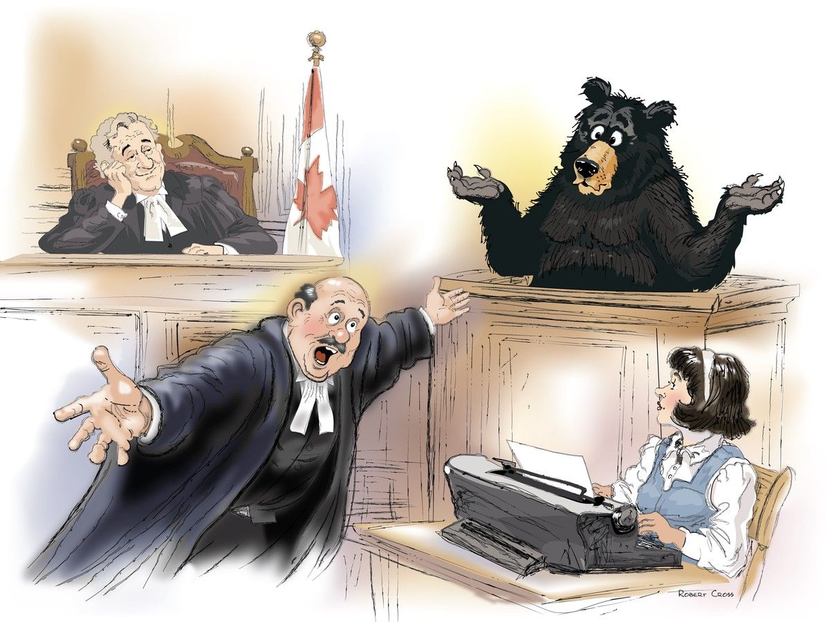 When an Ottawa man wrestled a bear at Lansdowne Park in 1966, it took a courtroom to decide who was the definitive winner.