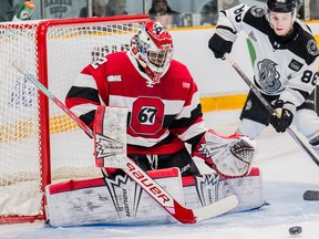 Ottawa 67's goaltender Jaeden Nelson