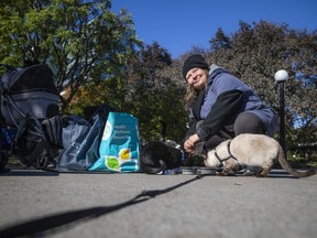 Honour Driscoll Homeless Cat Owner