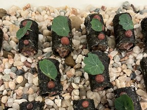 Perch served koji-aged venison tartare in a crispy nori shell at the 2026 Ottawa Citizen Best Restaurants event at the National Arts Centre on Monday, Oct. 19, 2026.