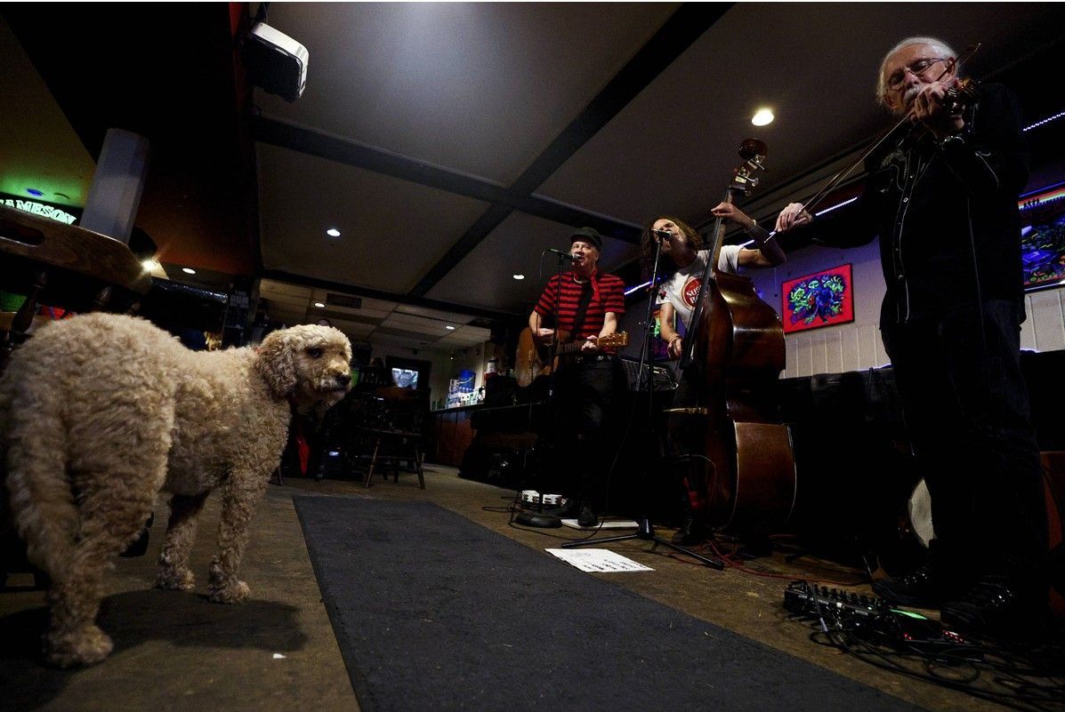 Ottawa-based traditional three-piece combo band The Lockmasters perform during an election campaign event for mayoral candidates at the Dominion Tavern in the ByWard Market on Wednesday, Oct. 14, 2026.