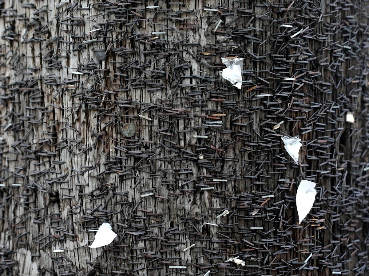 A posterless telephone pole still displays evidence of a community connecting with itself. A posterless telephone pole still displays evidence of a community connecting with itself.