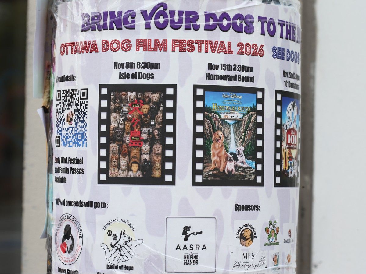 A poster for a dog movie festival. A poster for a dog movie festival.