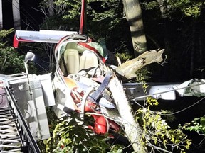 A plane crashed in the branches of a tree.