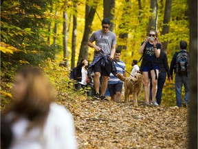 Hikers in Gatineau Park on Sunday enjoyed the warm weather, which is forecast to continue Monday. Ashley Fraser, Postmedia