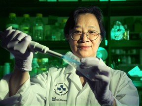 Xiaohui Zha, who leads crucial research into the properties of cholesterol, about two years ago suffered a devastating hemorrhagic stroke caused by a sudden brain bleed. On Saturday, she will be awarded The Ottawa Hospital Research Institute’s Chrétien Researcher of the Year Award.