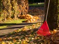 Raking leaves is one task you should complete before the colder weather sets in.