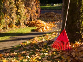 Raking leaves is one task you should complete before the colder weather sets in.