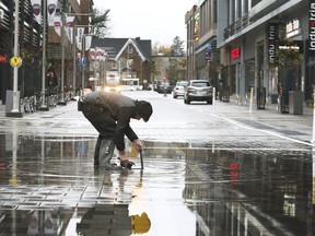 Murray Mills, a plumber with Lansdowne Park, removes leaves from a drain in Ottawa Thursday Nov 2, 2017.