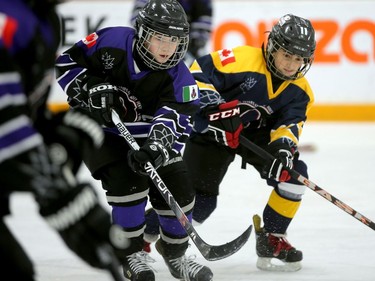 Yukon (purple) lost 5-0 against Alberta (yellow) on Friday, but remained in good position to make the playoff round.  Julie Oliver/Postmedia