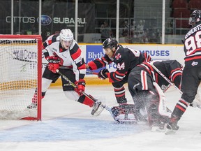 The 67’s went down to the Niagara IceDogs 3-0 at TD Place last night. They face Sudbury at home this afternoon.  (Valerie Wutti/Blitzen photography)