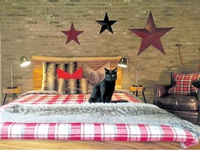 Popped into a guest space at C&J's lake house and set against a brick wall, these sheets provide a seasonal vibe —  plus Beamer the cat approves.