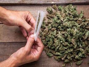 Should marijuana be allowed to be grown in rental properties?