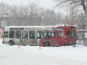 An OC Transpo bus stuck in snow near Lansdowne Park.