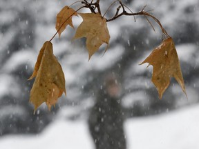 “The winds are south-southwest. It has almost gone from Siberian air to American air,” said David Phillips, Environment Canada’s senior climatologist.