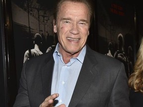 Former Governor of California Arnold Schwarzenegger arrives at the premiere of Warner Bros. Pictures' "The 15:17 to Paris" at Warner Bros. Studios on February 5, 2018 in Burbank, California.