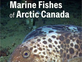 Book cover of Marine Fishes of Arctic Canada from the Canadian Museum of Nature