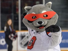 Ottawa 67’s mascot Riley and members of the team will be visiting three Real Canadian Superstore locations.