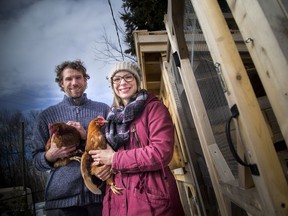 Carmen and Matthew Chase show off their three chickens their family has in the backyard of their Gatineau home Sunday March 4, 2018.