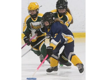 Amelia Nolan of the Metcalfe Hornets takes control of the ring during the game against Gloucester-Cumberland.  Julie Oliver/Postmedia