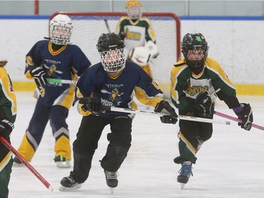 Metcalfe Hornets (blue) and Gloucester-Cumberland players chase the ring during Friday's game.  Julie Oliver/Postmedia