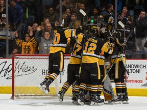 The Hamilton Bulldogs celebrate after beating the Ottawa 67's on Friday night. (BRANDON TAYLOR/Photo)