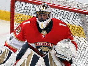 Goaltender Roberto Luongo of the Florida Panthers. (JOEL AUERBACH/Getty Images)