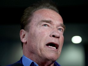 Arnold Schwarzenegger. (Robert Cianflone/Getty Images,)