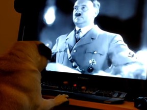 In this screenshot, comedian Mark Meechan's girlfriend's pug watches video of Adolf Hitler.