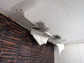 Your landlord is responsible for maintaining your unit in a good state of repair, and that includes taking reasonable steps to correct roof leaks in a timely manner.