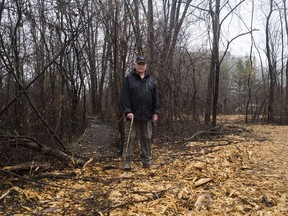 Britannia Village resident, Herb Weber, stands at a fork where the old Mud Lake trail branches off from the expansive new path that has been cut through the conservation area by the NCC.