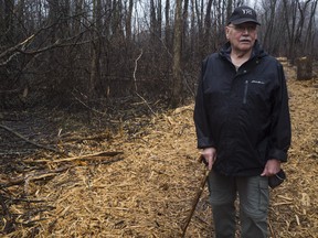 Britannia Village resident and advocate for Mud Lake, Herb Weber, stands amongst the mulch left behind by massive tree cutting done by the NCC on the Mud Lake path.