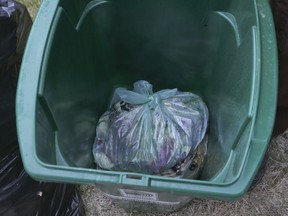 Ottawa green bins will be accepting plastic bags.