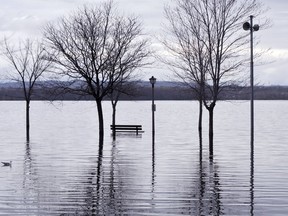 Benches and trees at Britannia Beach were surrounded by water on April 21, 2018 after the Ottawa River spilled over the banks in the area. Flood warnings were issued after days of rainfall.