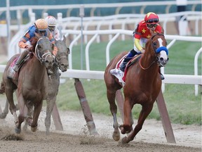 Justify, ridden by jockey Mike Smith leads the field around the fourth turn during the 150th Belmont Stakes on Saturday at in Elmont, N.Y. Justify became the thirteenth Triple Crown winner and the first since American Pharoah in 2015.