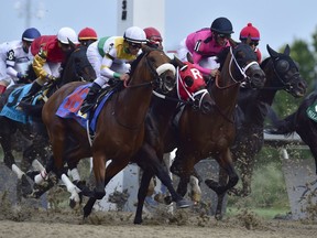 Wonder Gadot, with jockey John Velazquez aboard (second from right, No. 11) races towards victory during the Queen's Plate on Saturday.
