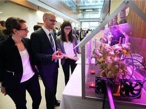 More than 300 University of Windsor students displayed the latest engineering innovations Friday, July 27, 2018, at the Ed Lumley Centre for Engineering Innovation. Leah Krehling, left, Rosario Montaleone and Sandra Papo are shown with their project that involves greenhouse sensors that measure a variety of growing conditions.