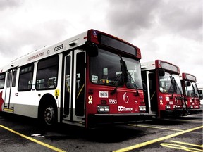 OC Transpo buses.