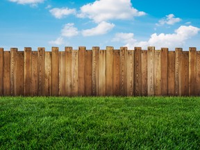 garden fence