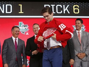 Filip Zadina (18), of the Czech Republic, puts on a jersey after being selected by the Detroit Red Wings during the NHL hockey draft in Dallas, Friday, June 22, 2018.