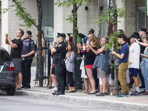 The NCC, Ottawa police and the Ministry of Natural Resources joined forces Thursday September 6, 2018 to tranquillize and remove a bear that was in Ottawa's downtown.   Ashley Fraser/Postmedia