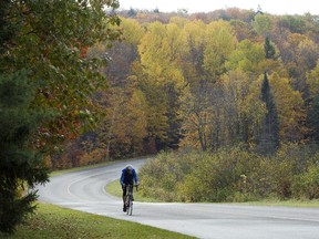 Leaves are beginning to change in Gatineau Park.