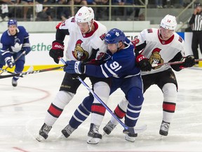 Toronto's John Tavares is checked by Ottawa's Logan Brown and Ryan Dzingel during their pre-season game on Tuesday in Lucan, Ont. (THE CANADIAN PRESS)