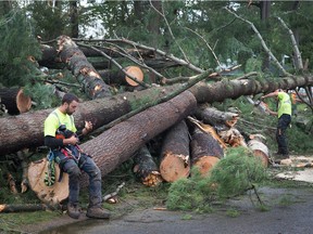 Shane Saunders takes a break for a sandwich while his fellow lumberjack Martin Meloche of Rock Tree Service cuts up pine trees as Arlington Woods continues to be a beehive of activity with arborists, hydro workers and city crews continuing to repair the damage from Friday's tornado.