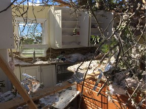 A tree crashed into the kitchen of the home of Jolene Dickson and Jason Nicholson near Kinburn.