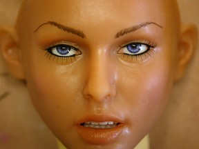 File photo of a RealDoll sex doll.