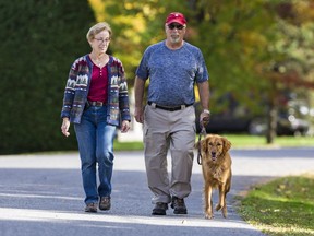 Margaret and Jeff Rowe walk their Golden Retriever "Annie" in Manotick. On a recent walk their dog ingested some cannabis and became quite ill, requiring veterinary care to make a full recovery. October 12, 2018. Errol McGihon/Postmedia