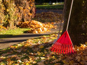 The first full day of Autumn is Monday. Rakes and umbrellas will be needed.