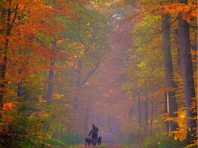 Not many more days to enjoy a winter-free walk.